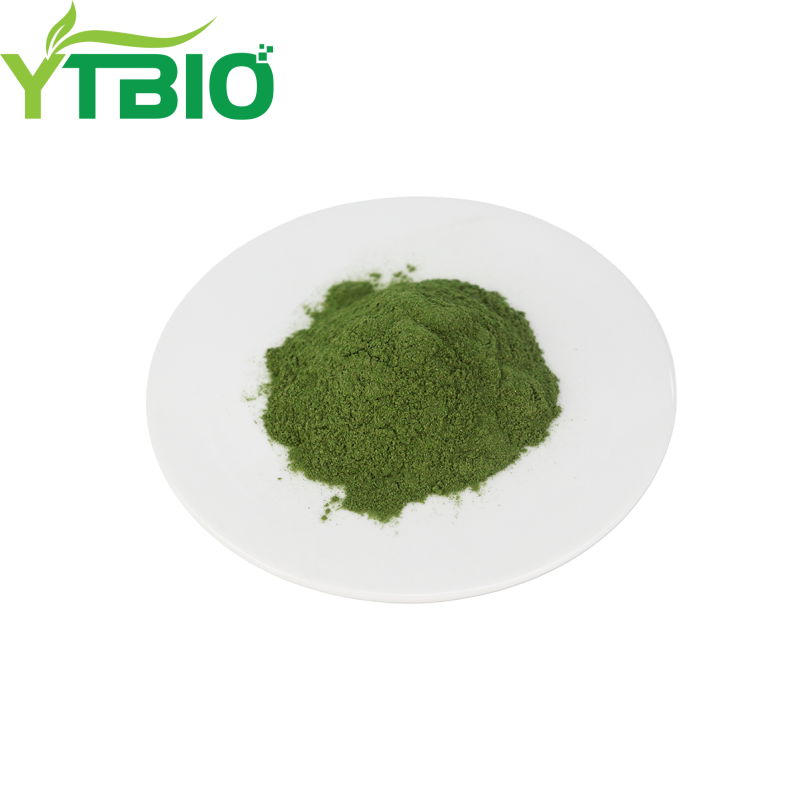 Organic Kale Powder Bulk